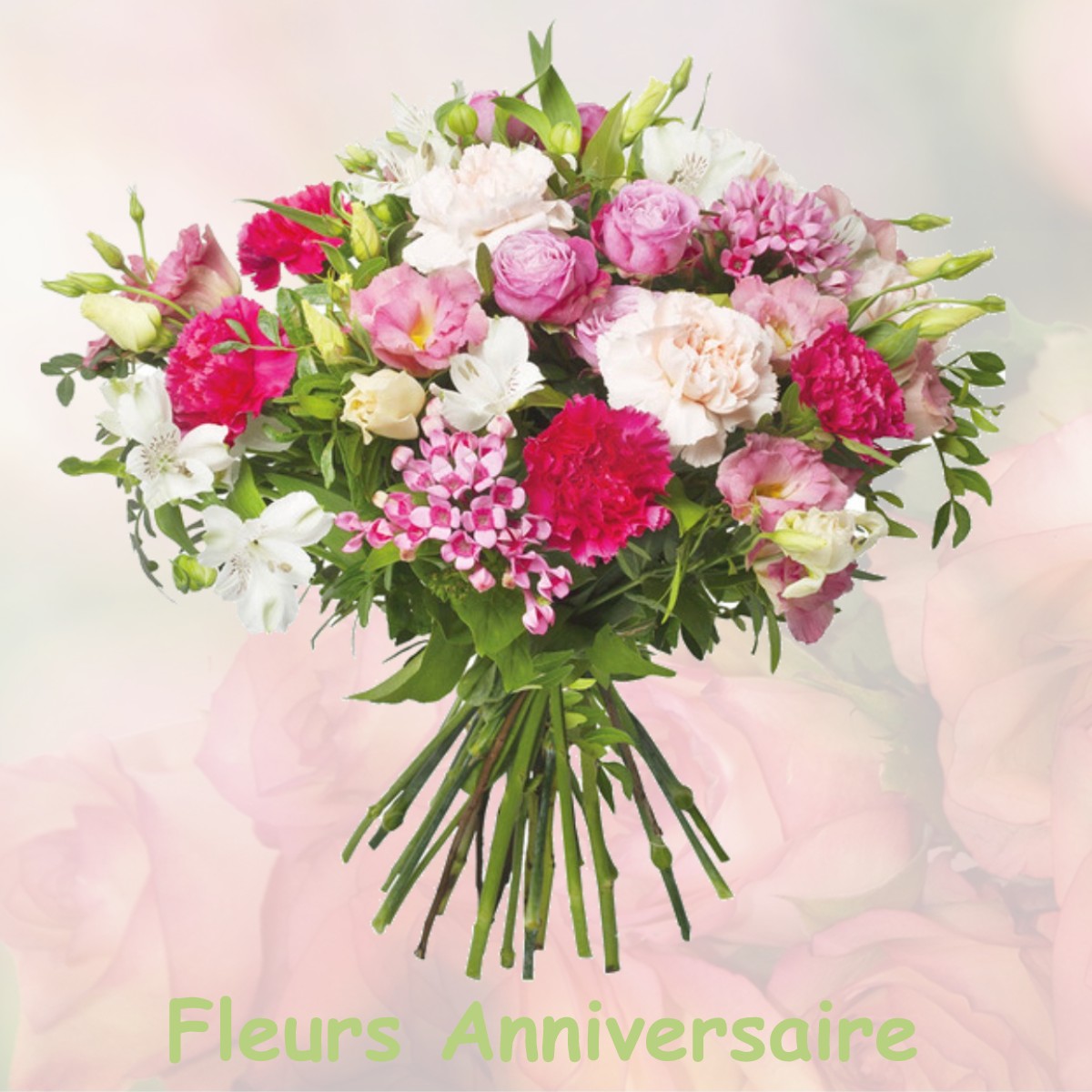 fleurs anniversaire AILLY-SUR-NOYE